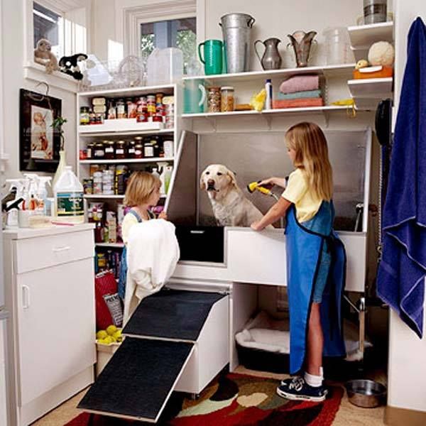 dog5