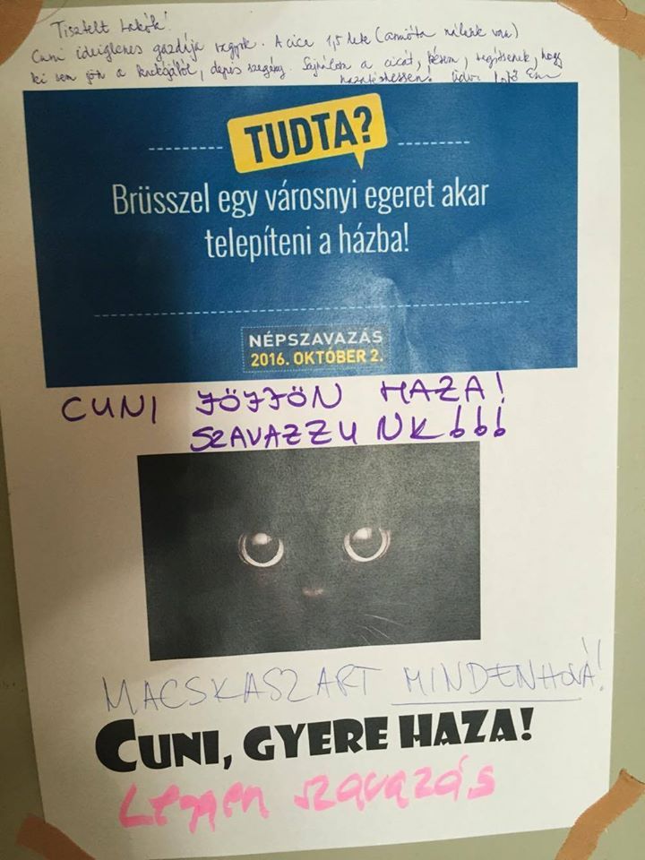 cet4