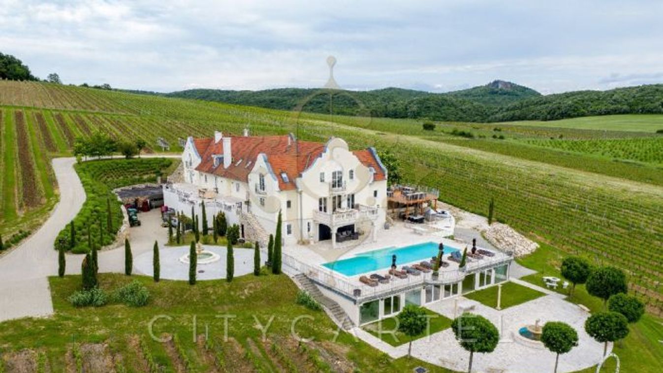 Eladó egy francia borbirtok a Balatonnál!